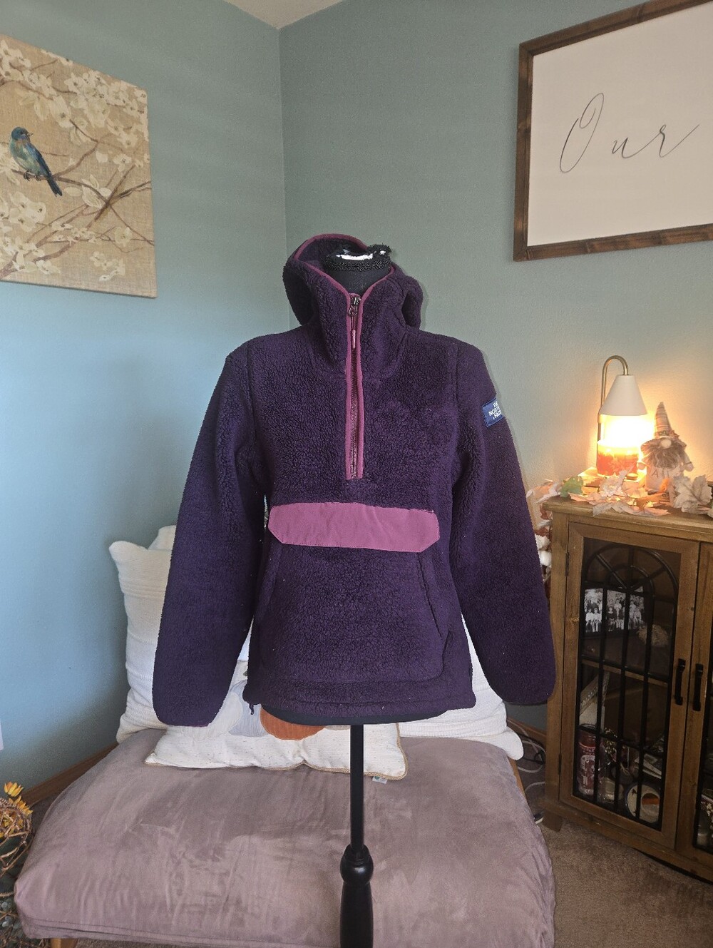 The North Face Campshire Pullover Hoodie